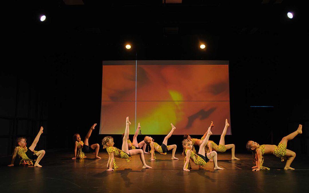 Gala de danse 2024Eveil Initiation