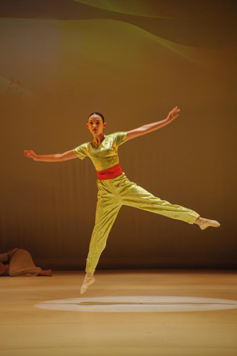 gala de danse 2026 - Danse Classique